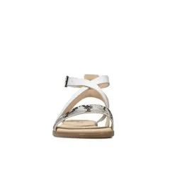 Clark Bay Rosie -Trainers Shop 26149338 C