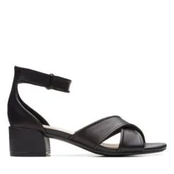 Clark Caroleigh Rise